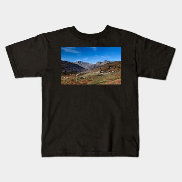 Langdales Pastures Kids T-Shirt by jldunbar